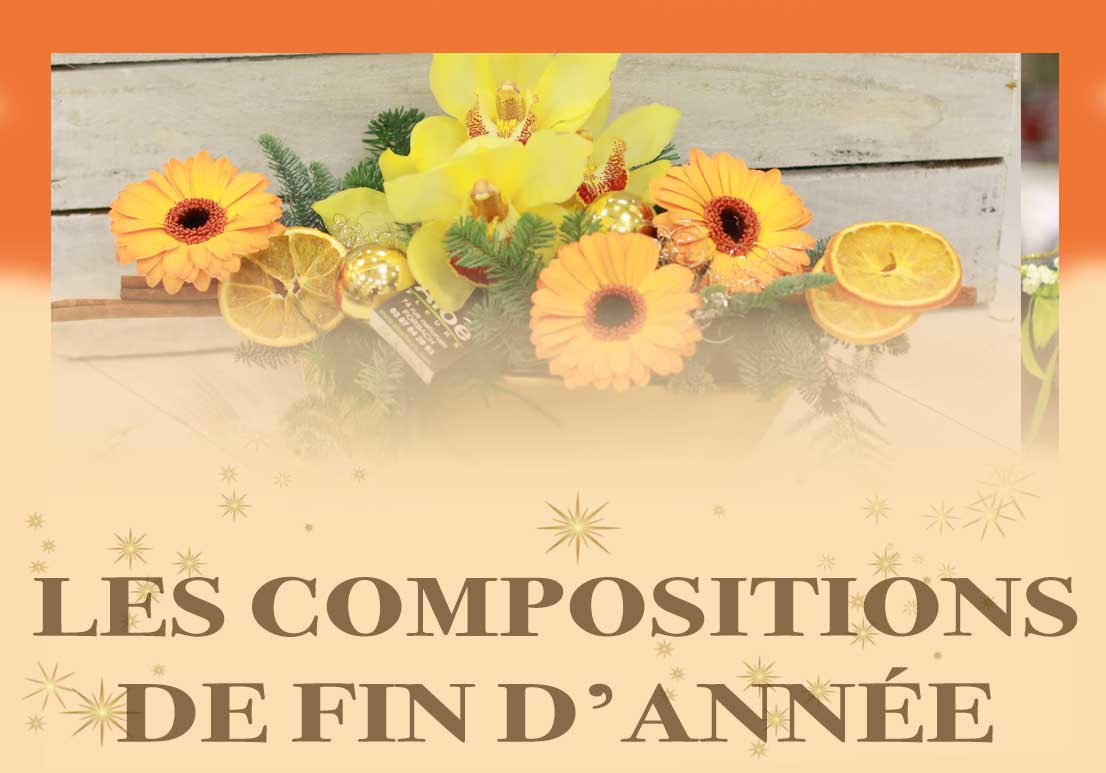 BOUTON Compositions De Fin D'année Aloé Fleurs Forbach 2