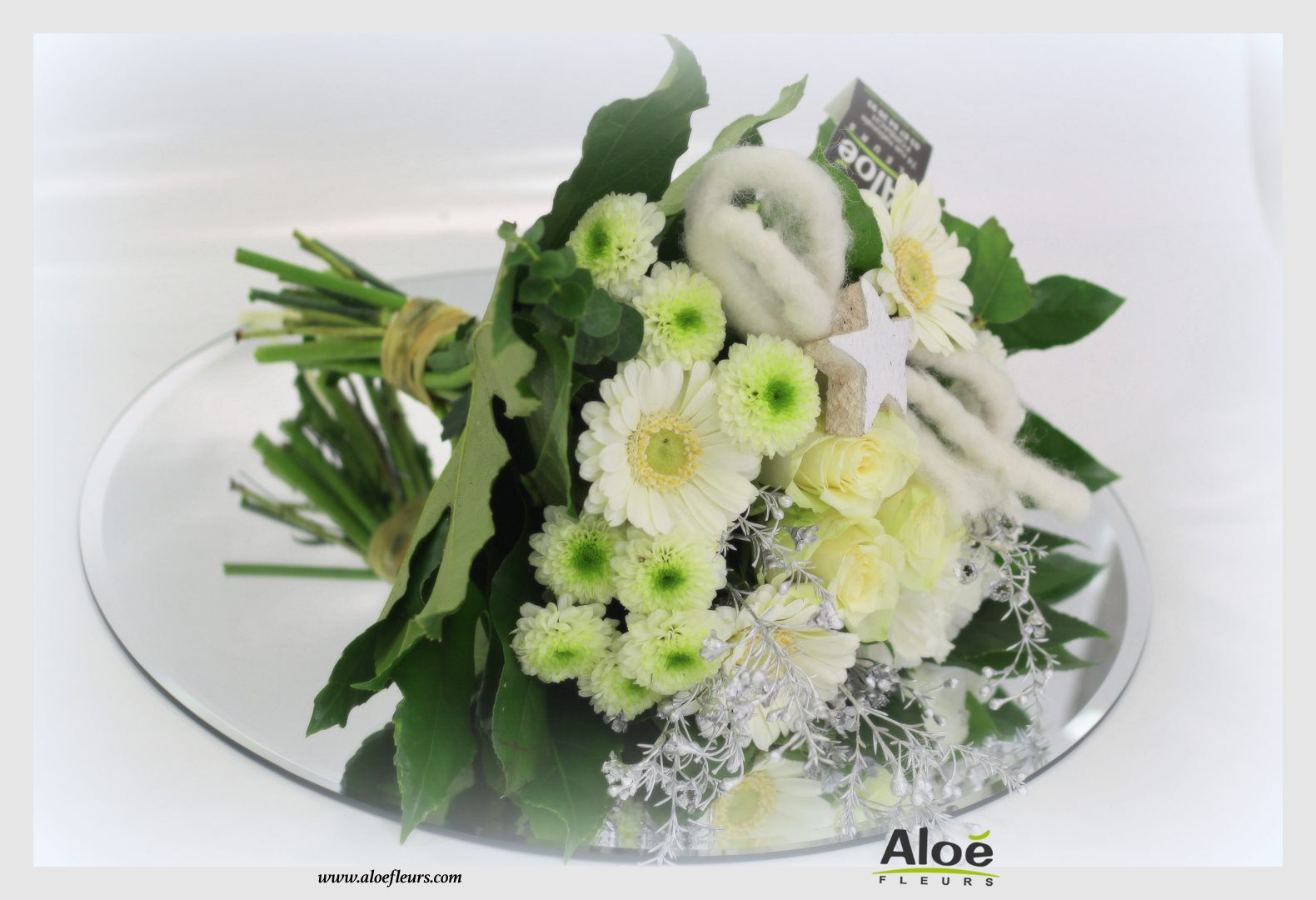Bouquet De Fleurs Noel Aloé Dec201521