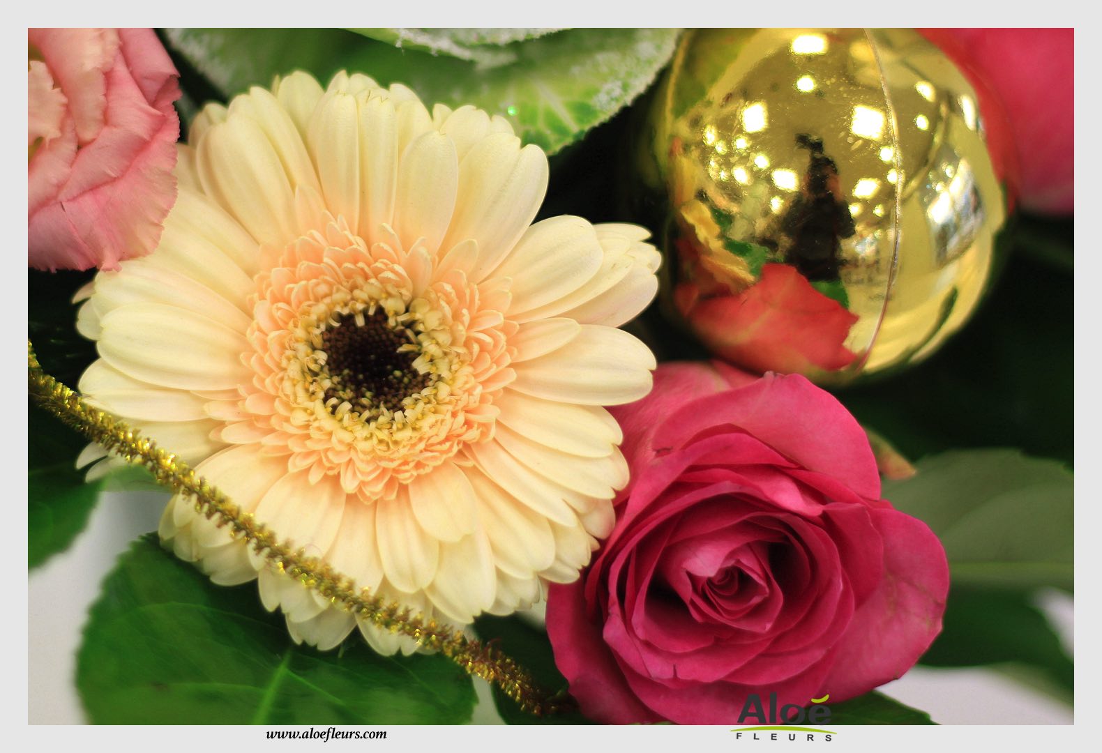 Bouquet De Fleurs Noel Aloé Dec201525