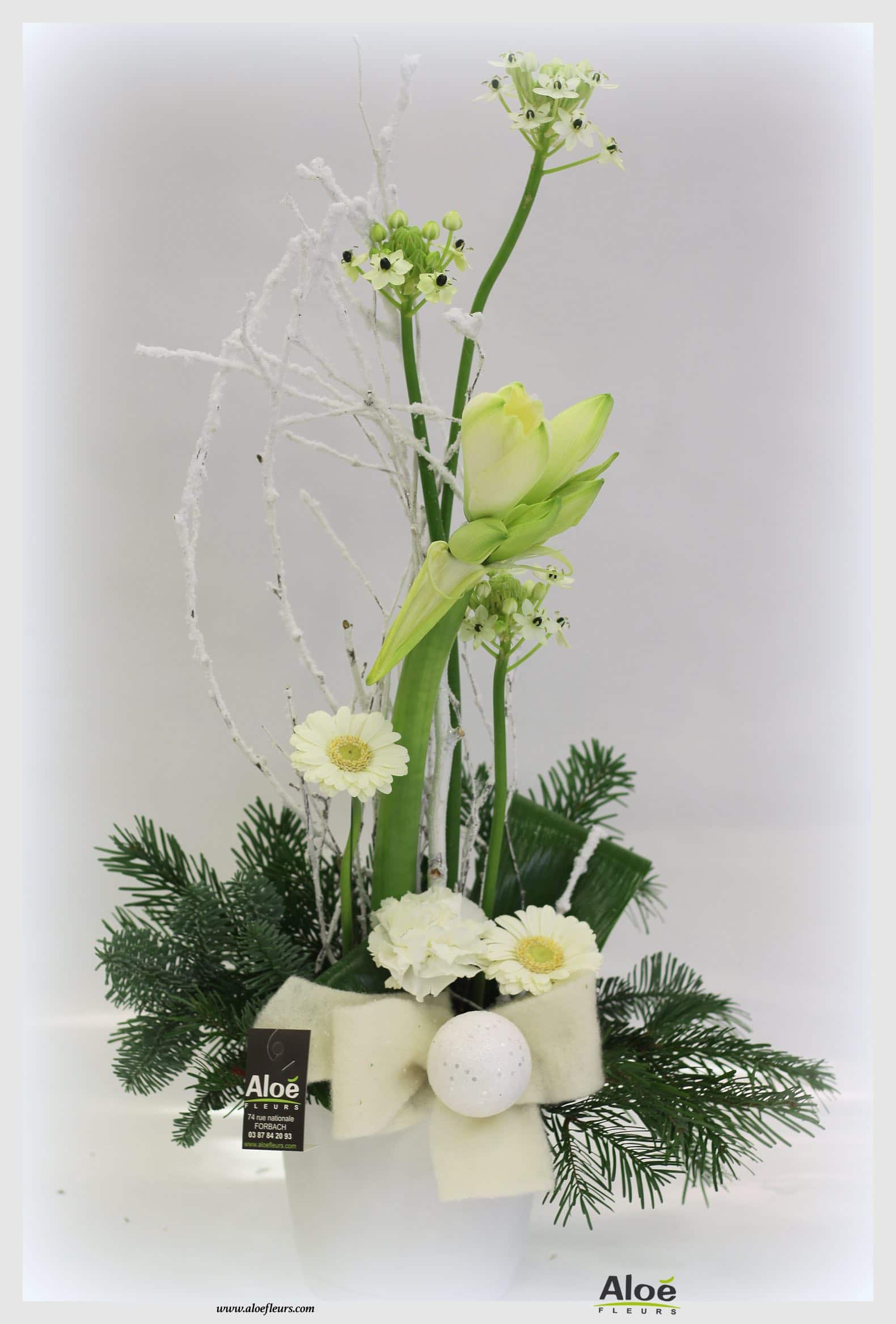 Bouquet De Fleurs Noel Aloé Dec201526