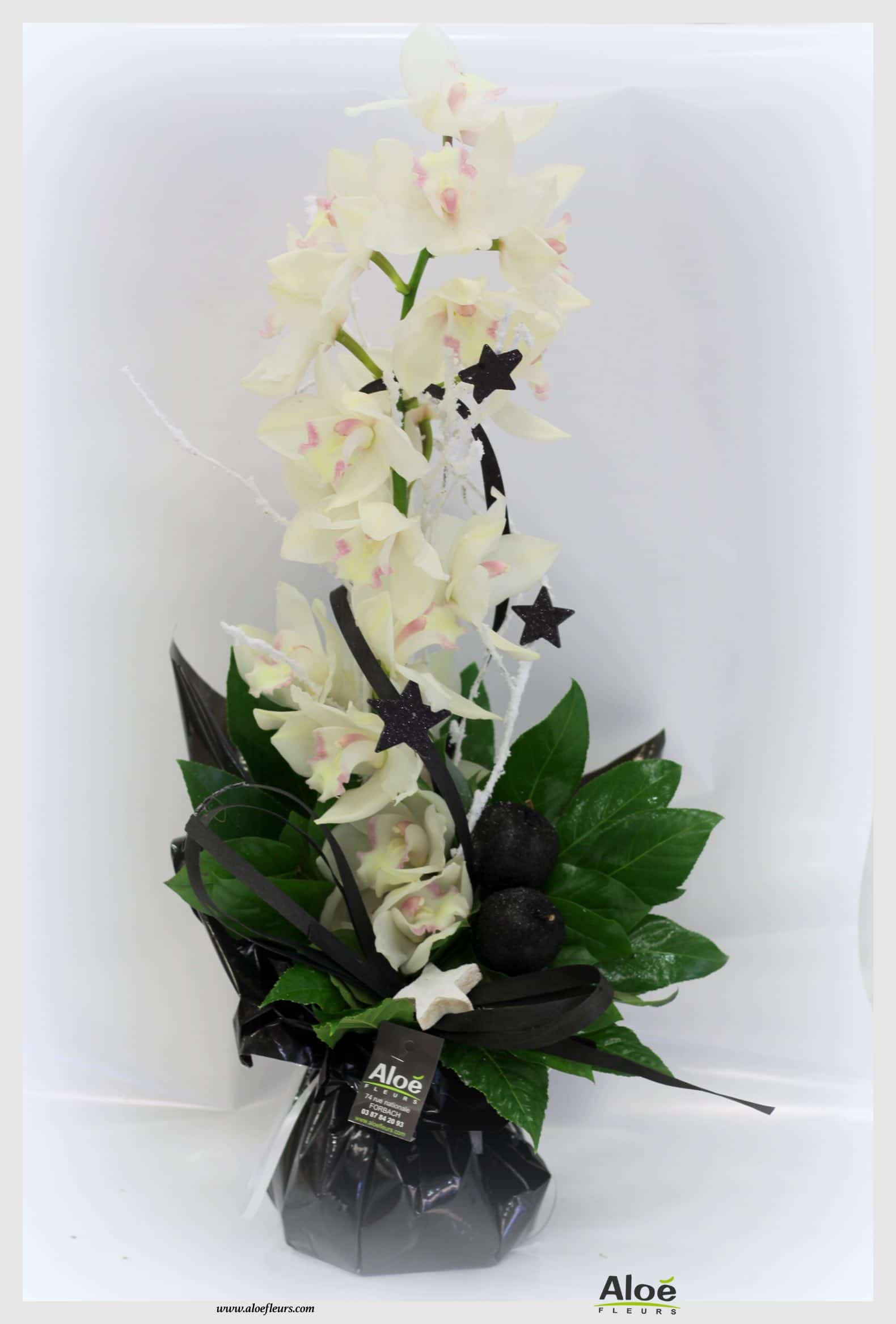 Bouquet De Fleurs Noel Aloé Dec201532
