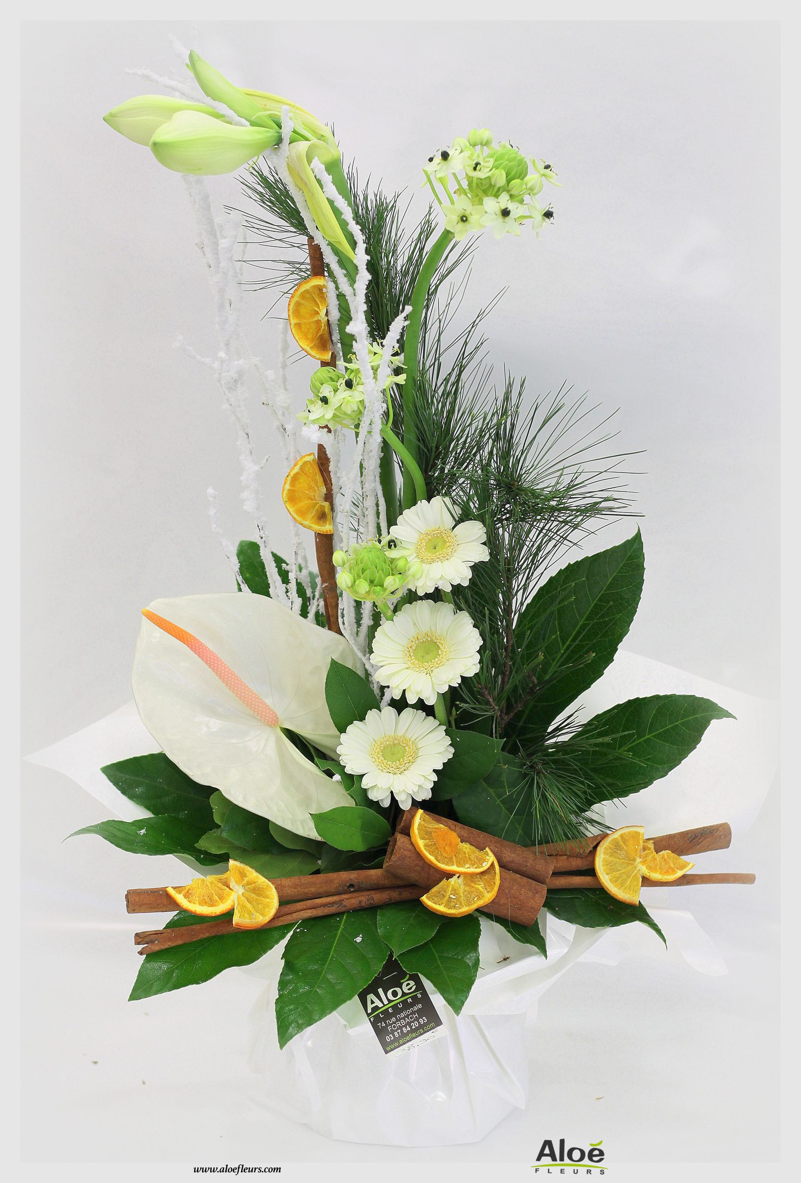 Bouquet De Fleurs Noel Aloé Dec201533