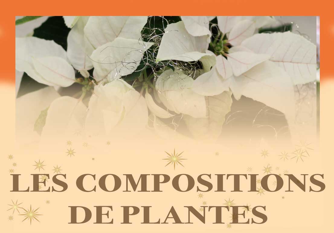 Bouton COMPOSITIONS DE PLANTES