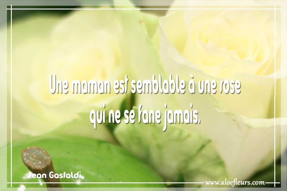 Une Maman Est Semblable À Une Rose Qui Ne Se Fane Jamais. 