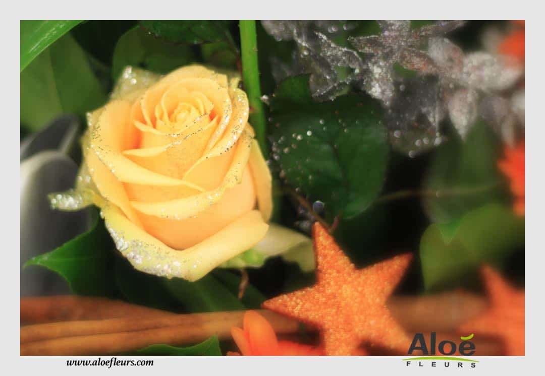 Bouquet Bulle D'eau Décoration Florale De Noel Aloé Fleurs2