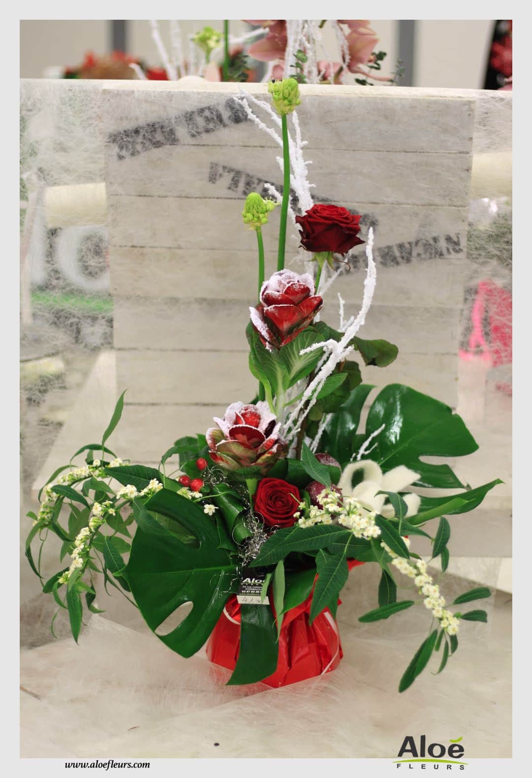 Bouquets & Compositions Noel Aloé Fleurs20