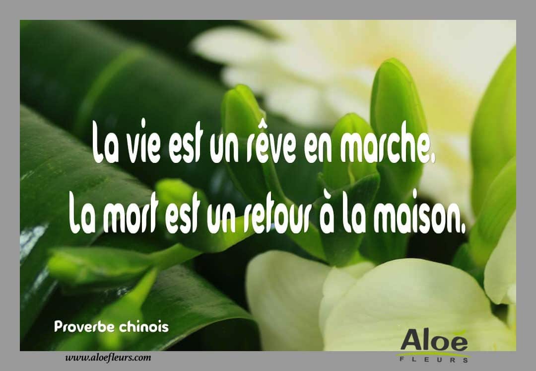 Citation Poème DeuilProverbe Chinois