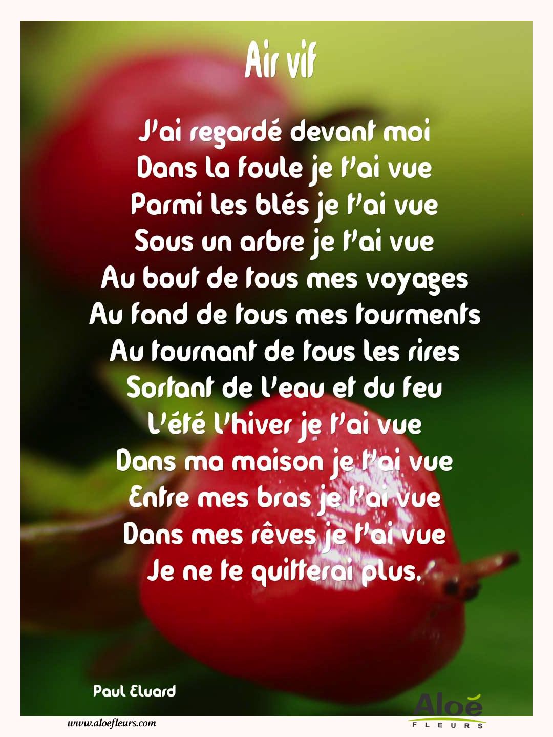 Citations D'amour Et Saint Valentin  Air Vif 