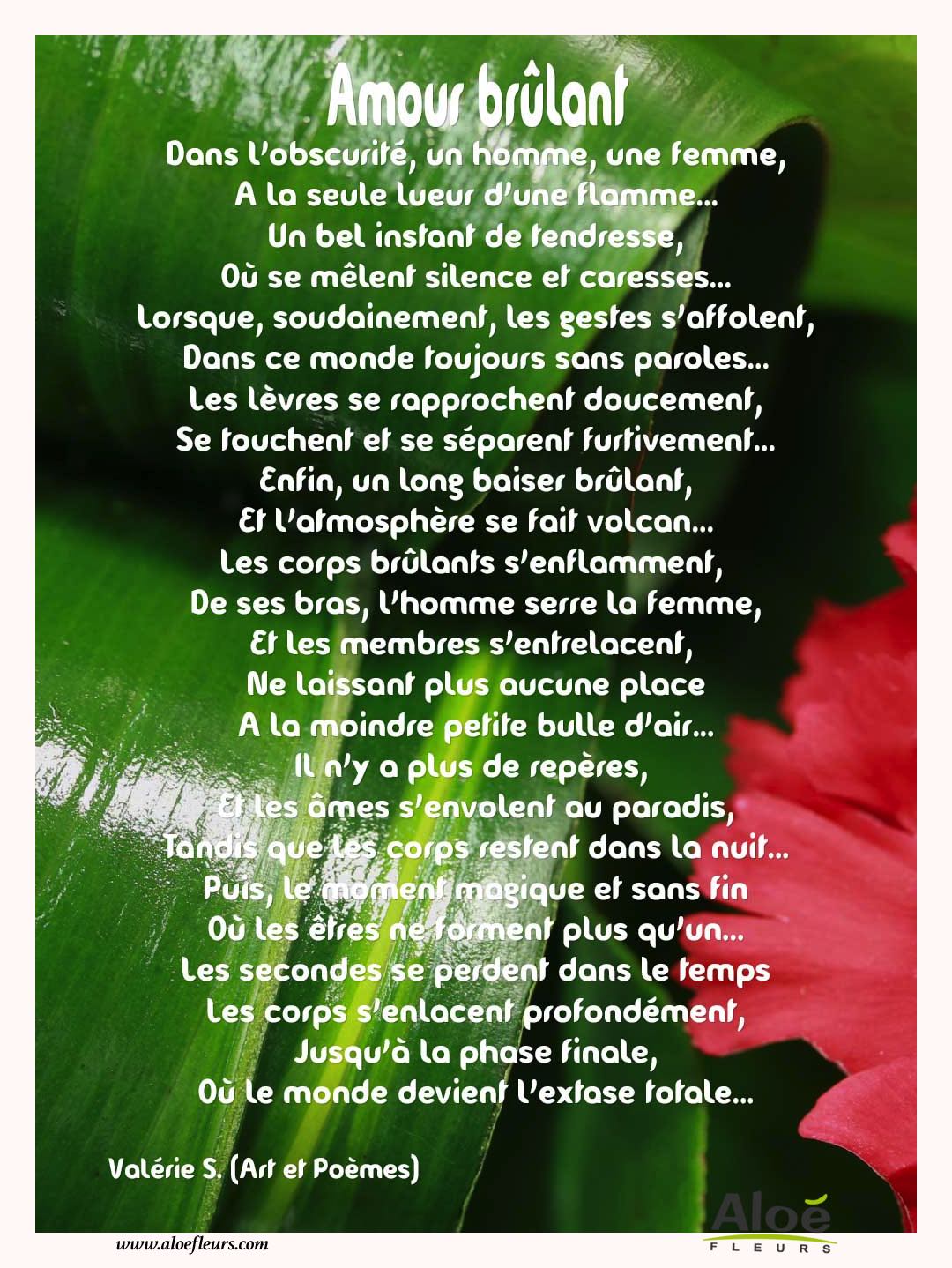 Citations D'amour Et Saint Valentin  Amour Brûlant 