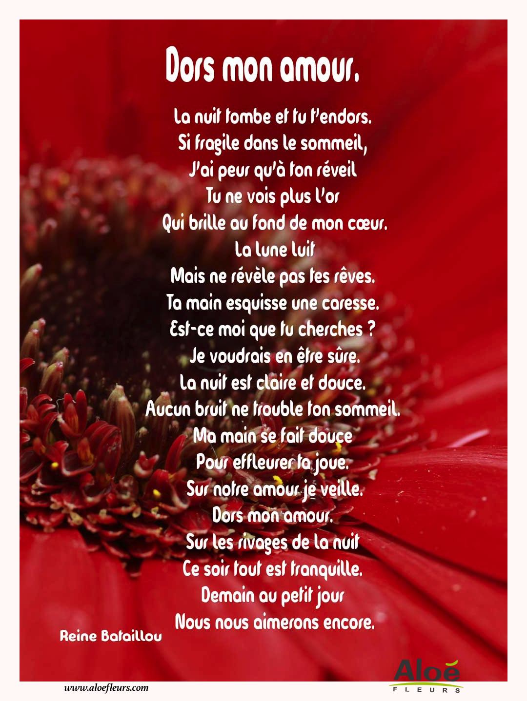Citations D'amour Et Saint Valentin  Dors Mon Amour. 