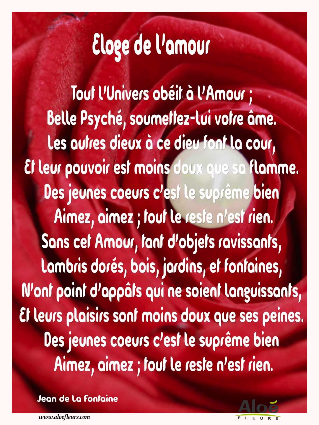 Citations D'amour Et Saint Valentin  Eloge De L'amour