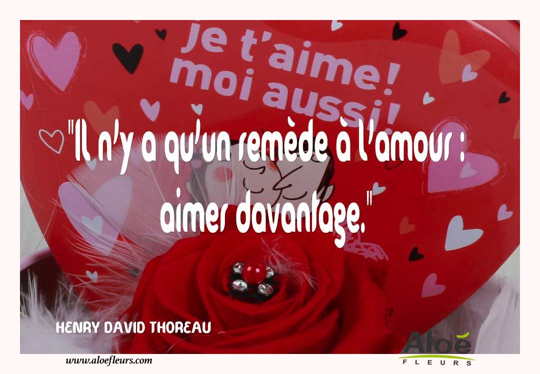 Citations D'amour Et Saint Valentin  Il N'y A Qu'un Remède À L'amour 