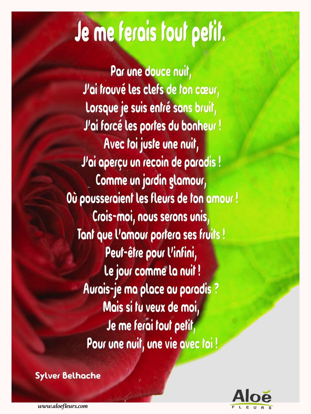 Citations D'amour Et Saint Valentin  Je Me Ferais Tout Petit. 