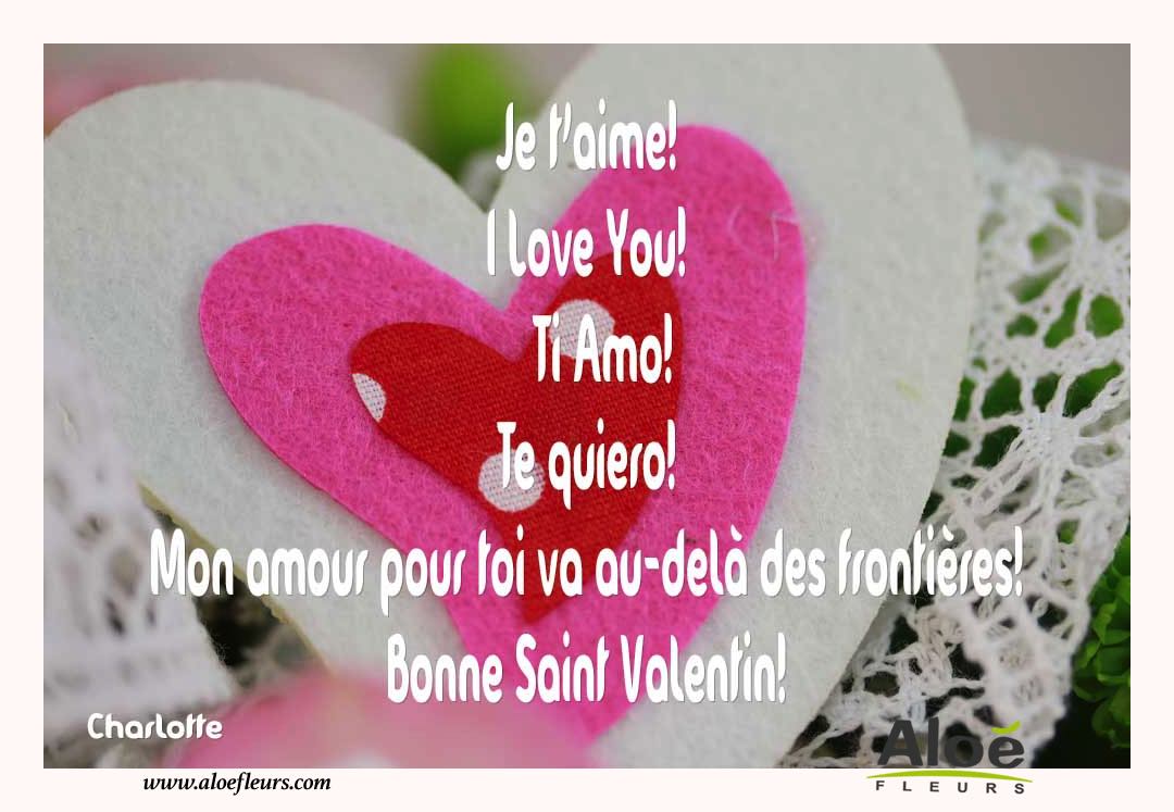 Citations D'amour Et Saint Valentin  Je T’aime! I Love You!  Ti Amo