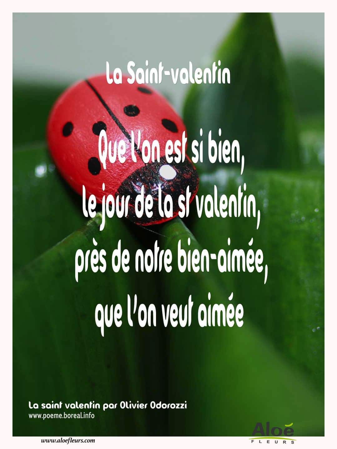 Citations D'amour Et Saint Valentin  La Saint Valentin 2