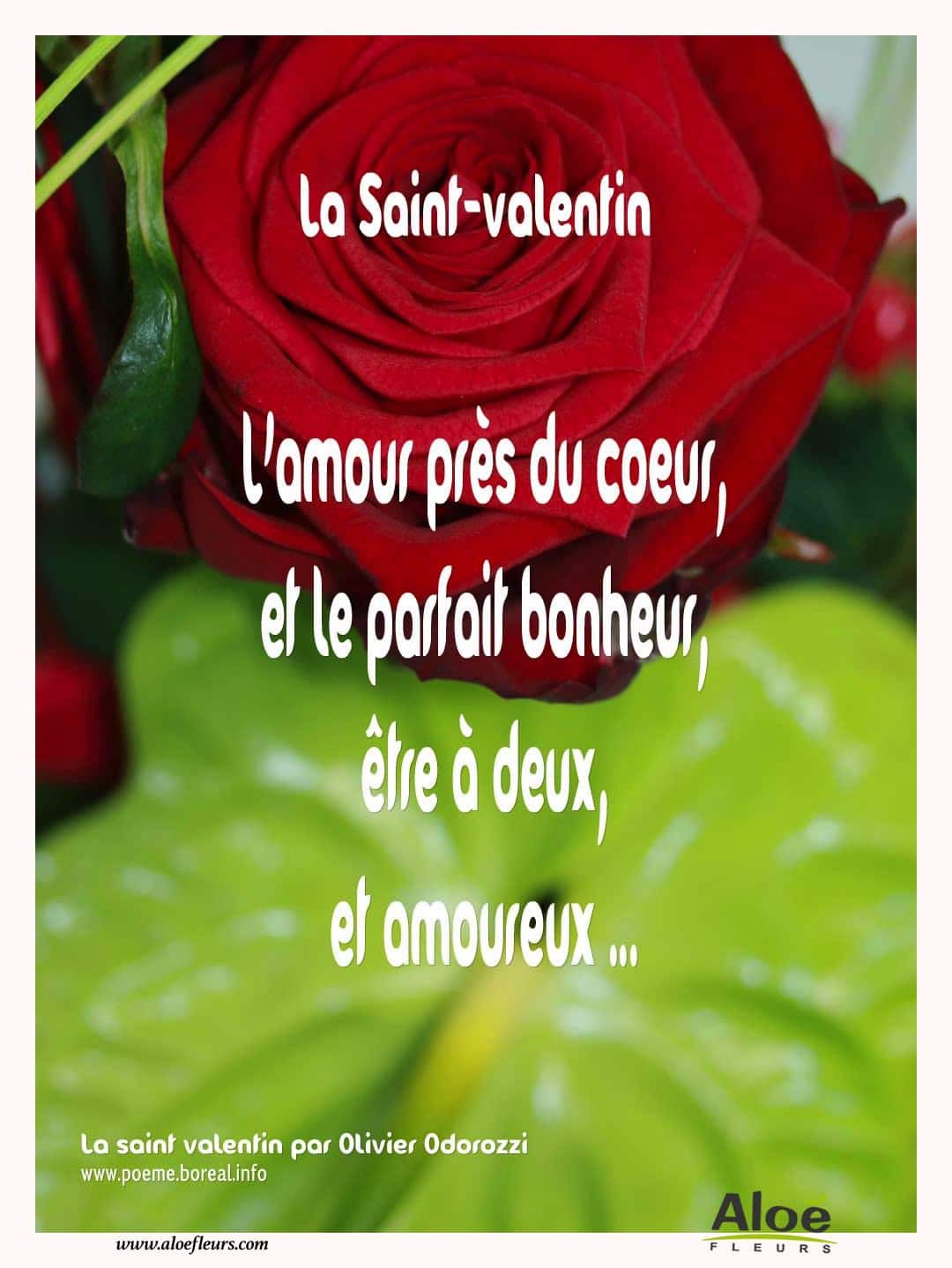 Citations D'amour Et Saint Valentin  La Saint Valentin 