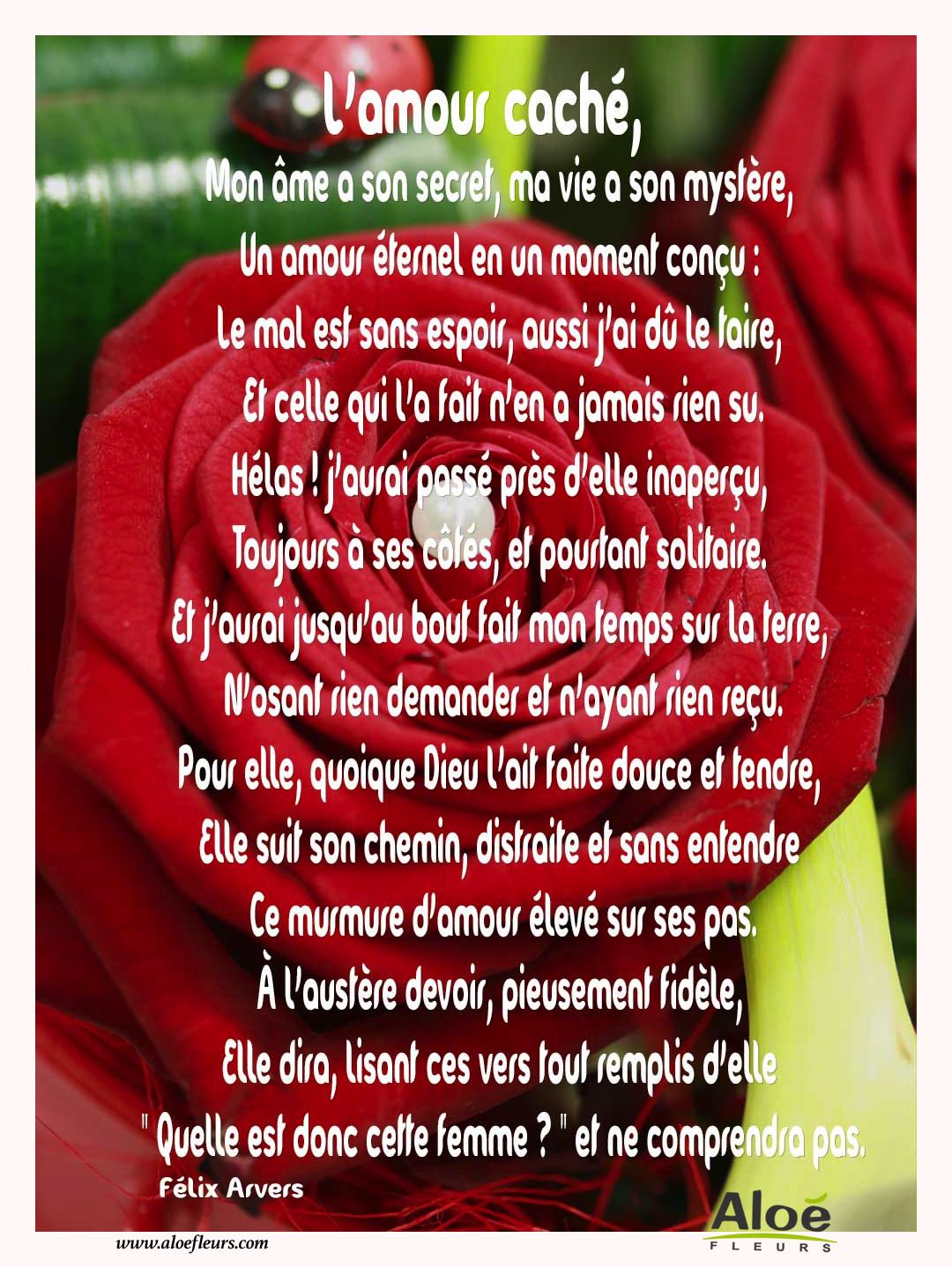 Citations D'amour Et Saint Valentin  L'amour Caché, 