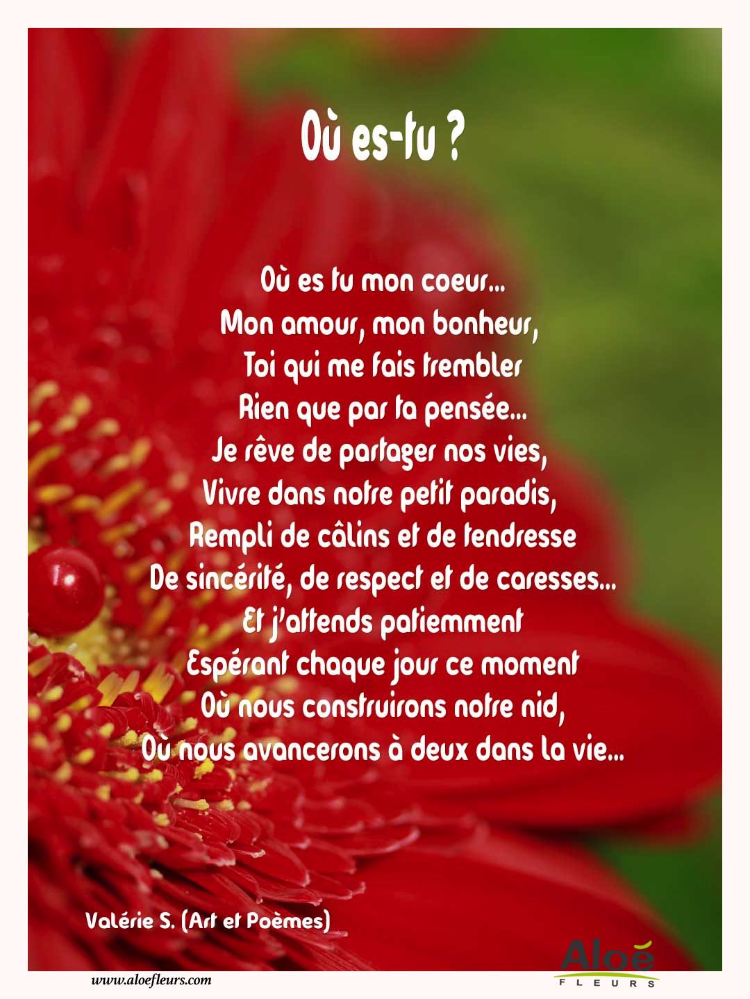 Citations D'amour Et Saint Valentin  Où Es Tu   
