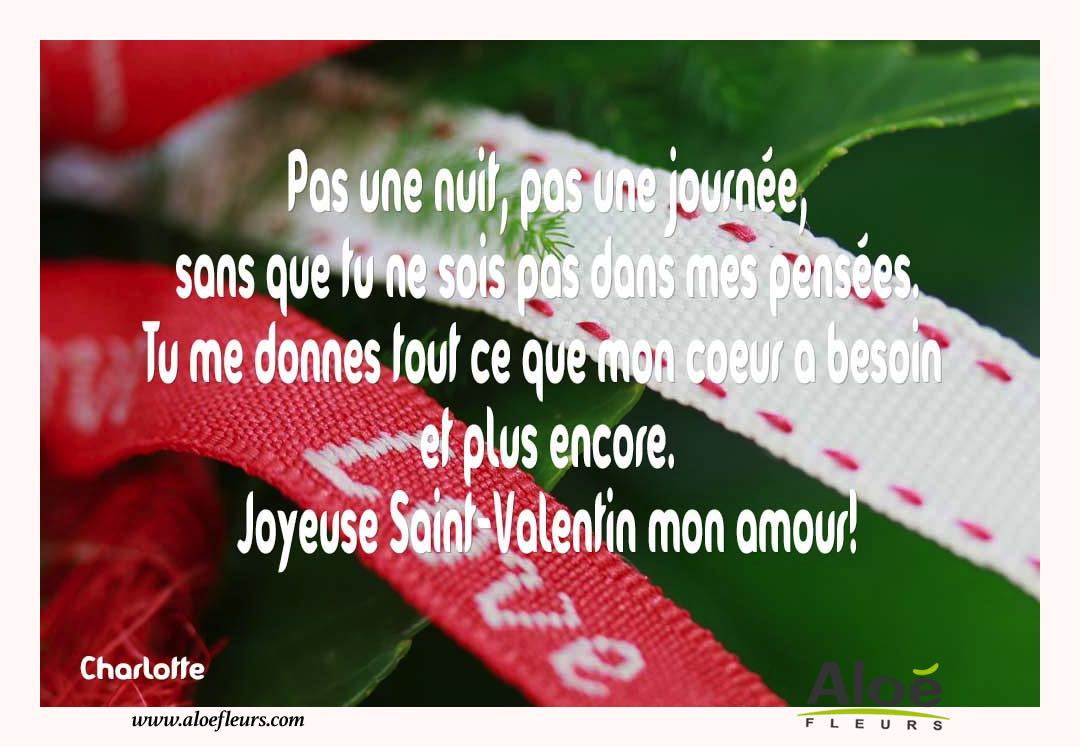 Citations D'amour Et Saint Valentin  Pas Une Nuit, Pas Une Journée