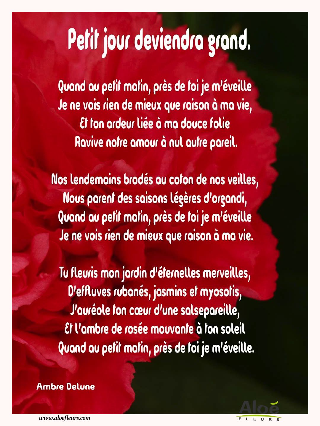 Citations D'amour Et Saint Valentin  Petit Jour Deviendra Grand. 