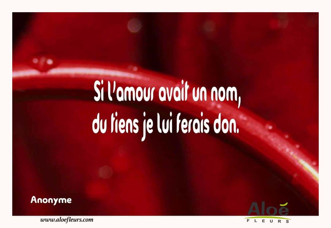 Citations D'amour Et Saint Valentin  Si L'amour Avait Un Nom, Du Tiens Je Lui Ferais Don.   