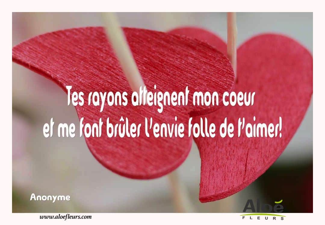 Citations D'amour Et Saint Valentin  Tes Rayons Atteignent Mon Coeur 