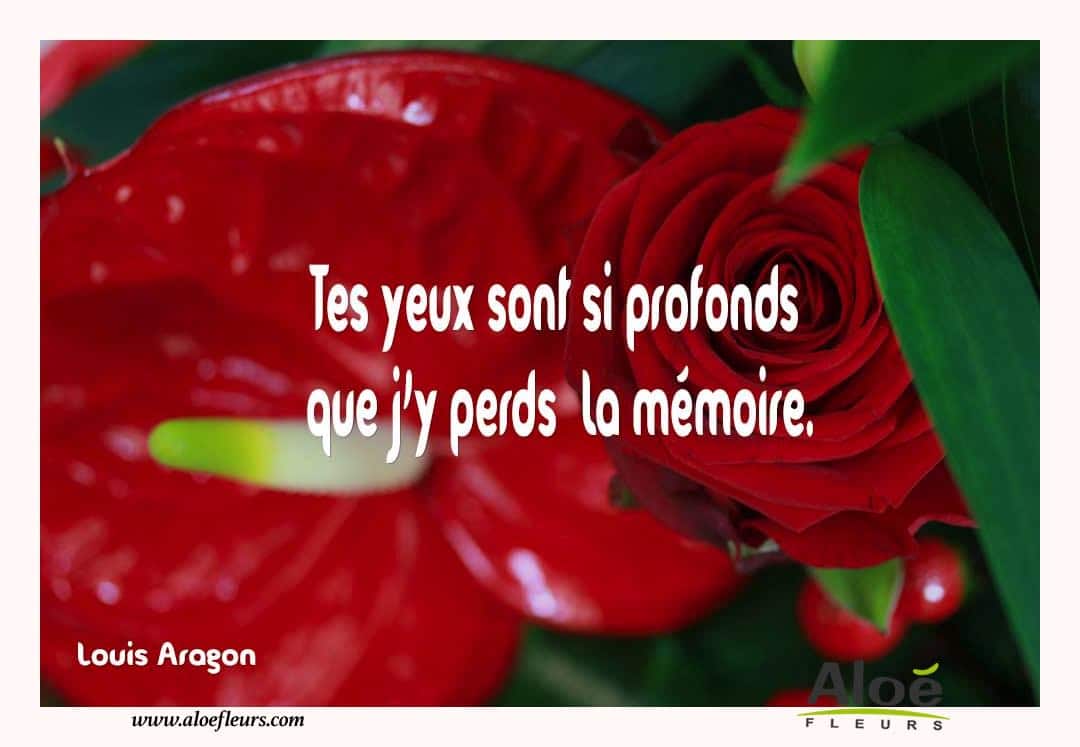 Citations D'amour Et Saint Valentin  Tes Yeux Sont Si Profonds  Que J’y Perds  La Mémoire. 
