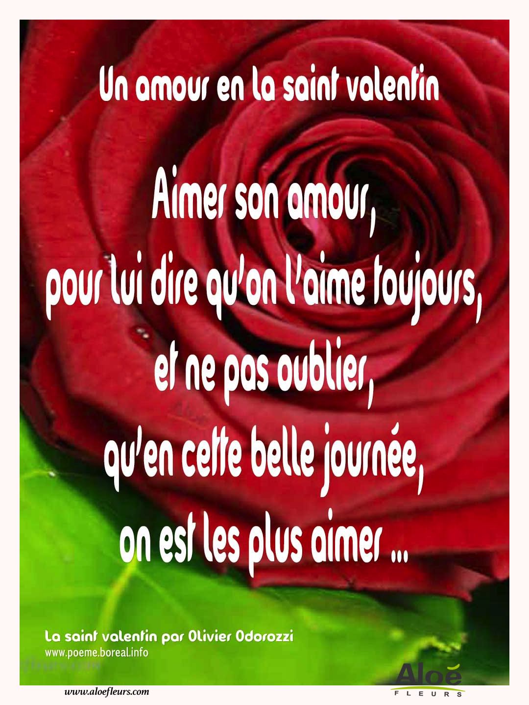 Citations D'amour Et Saint Valentin  Un Amour En La Saint Valentin 