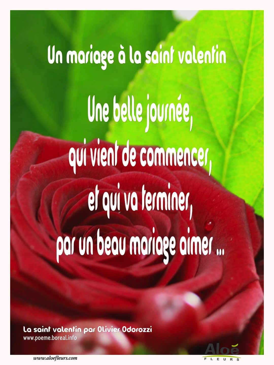 Citations D'amour Et Saint Valentin  Un Mariage À La Saint Valentin 