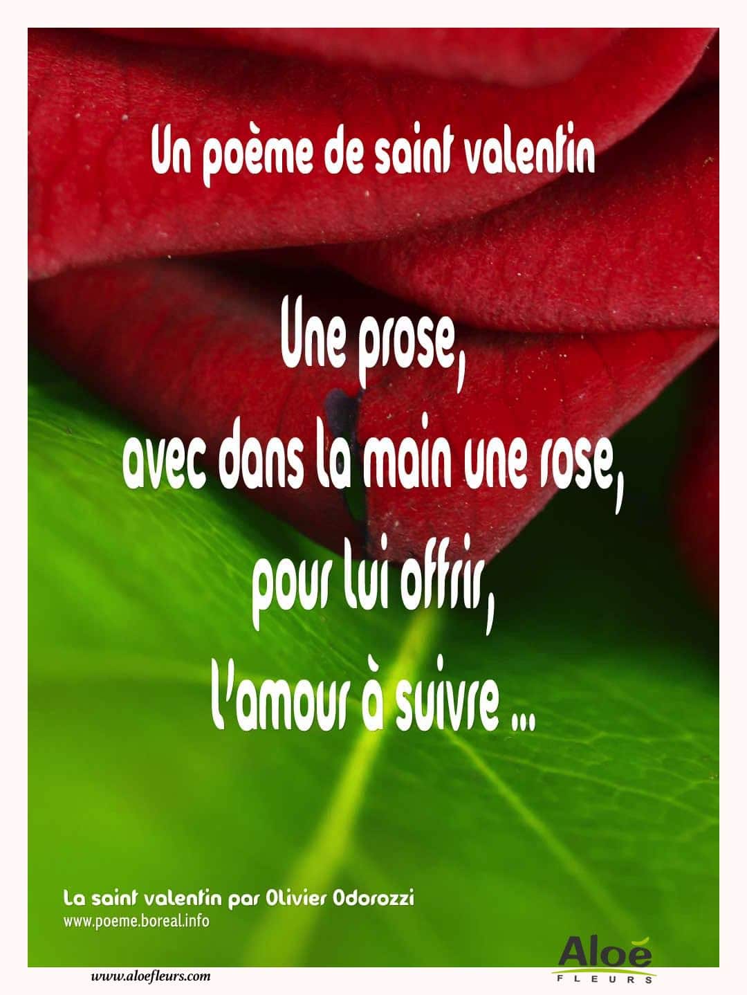 Citations D'amour Et Saint Valentin  Un Poème De Saint Valentin 