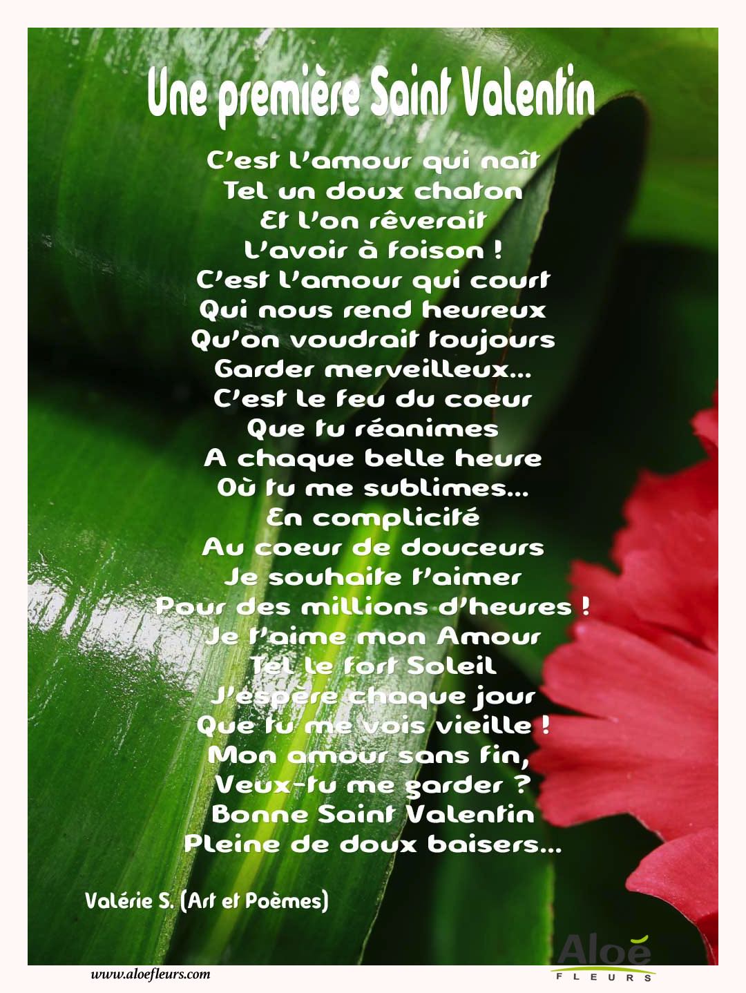 Citations D'amour Et Saint Valentin  Une Première Saint Valentin 