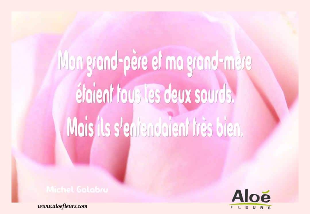 Citations Messages Fete Des Grands Meres 2016 Aloefleurs.com   Michel Galabru 