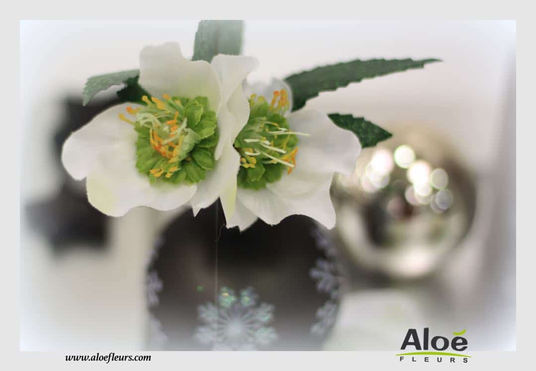 Décoration Florale D'acceuil & Mariage Aloé Fleurs28
