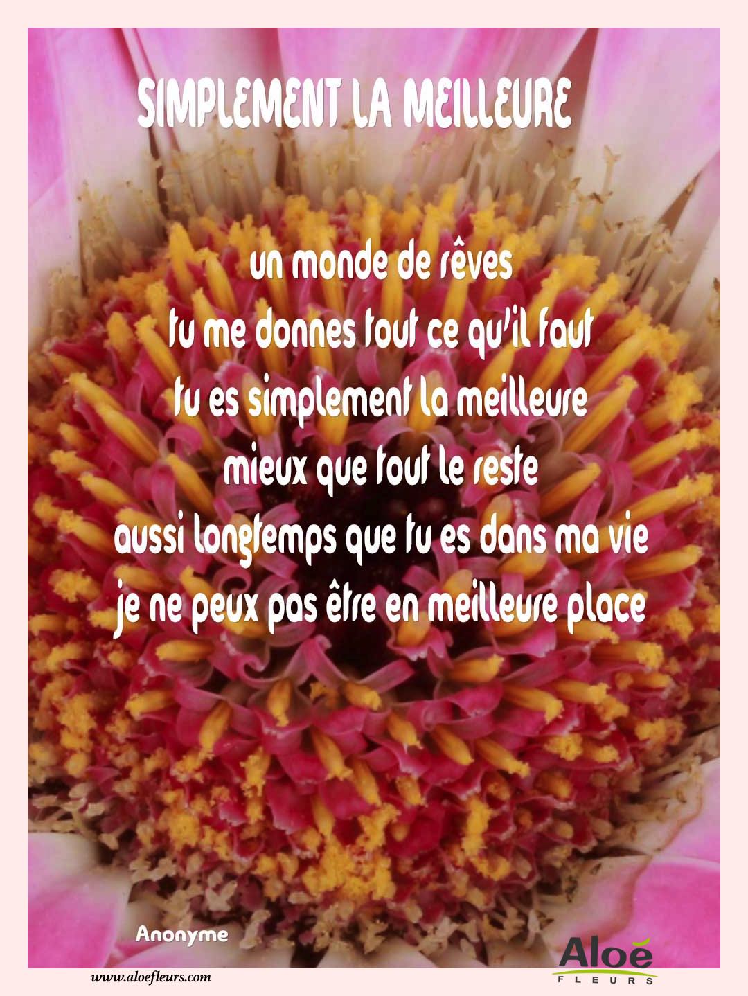 Poemes Fete Des Grands Meres 2016 Aloefleurs.com   00 Base 1000px Haut Poésie Modifié 2