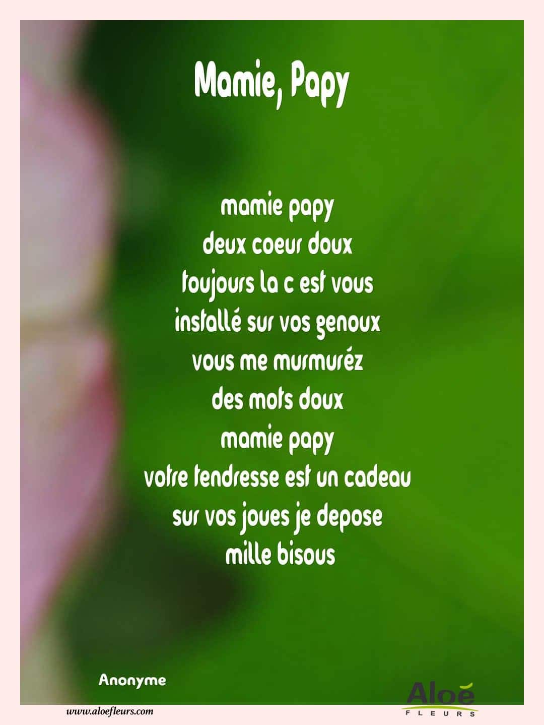 Poemes Fete Des Grands Meres 2016 Aloefleurs.com   Mamie, Papy