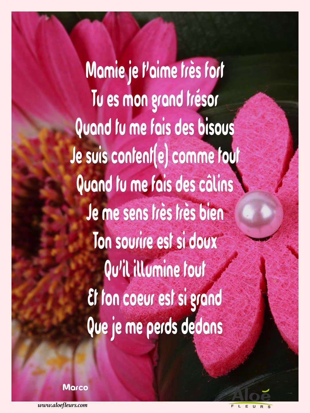 Poemes Fete Des Grands Meres 2016 Aloefleurs.com   Mamie Je T'aime Très Fort 