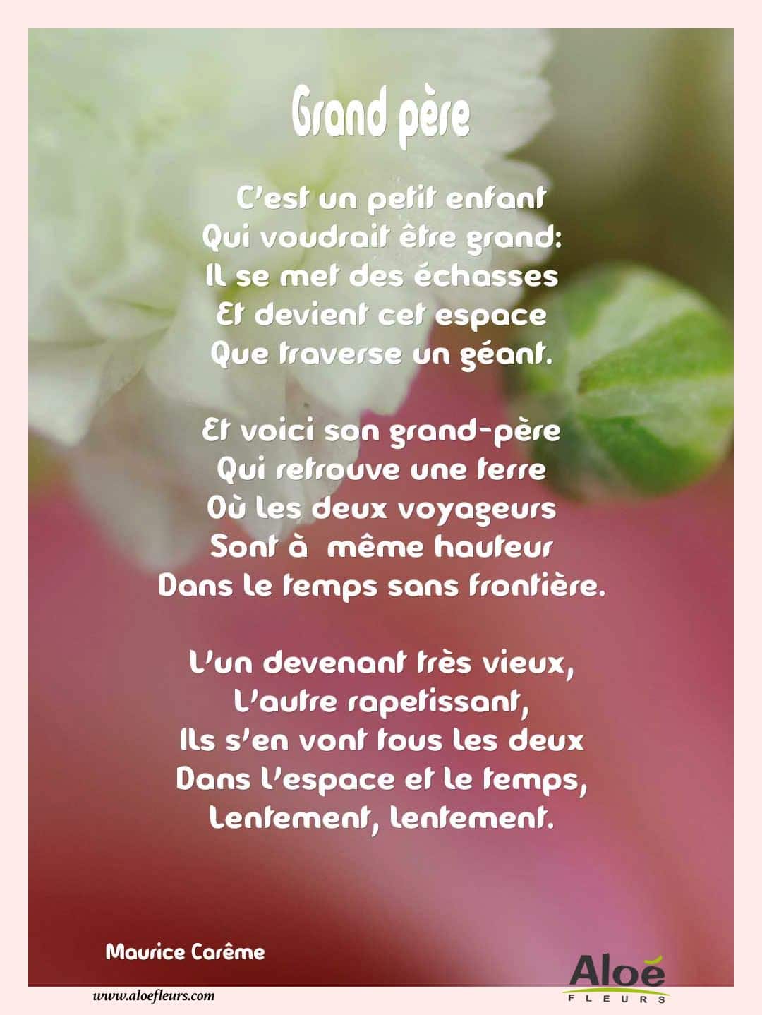 Poemes Fete Des Grands Meres 2016 Aloefleurs.com   Grand Pere