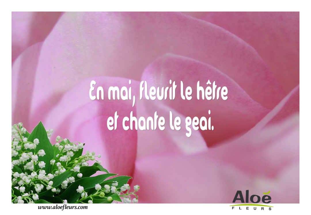 1er Mai  Mai   En Mai, Fleurit Le Hêtre Et Chante Le Geai. 