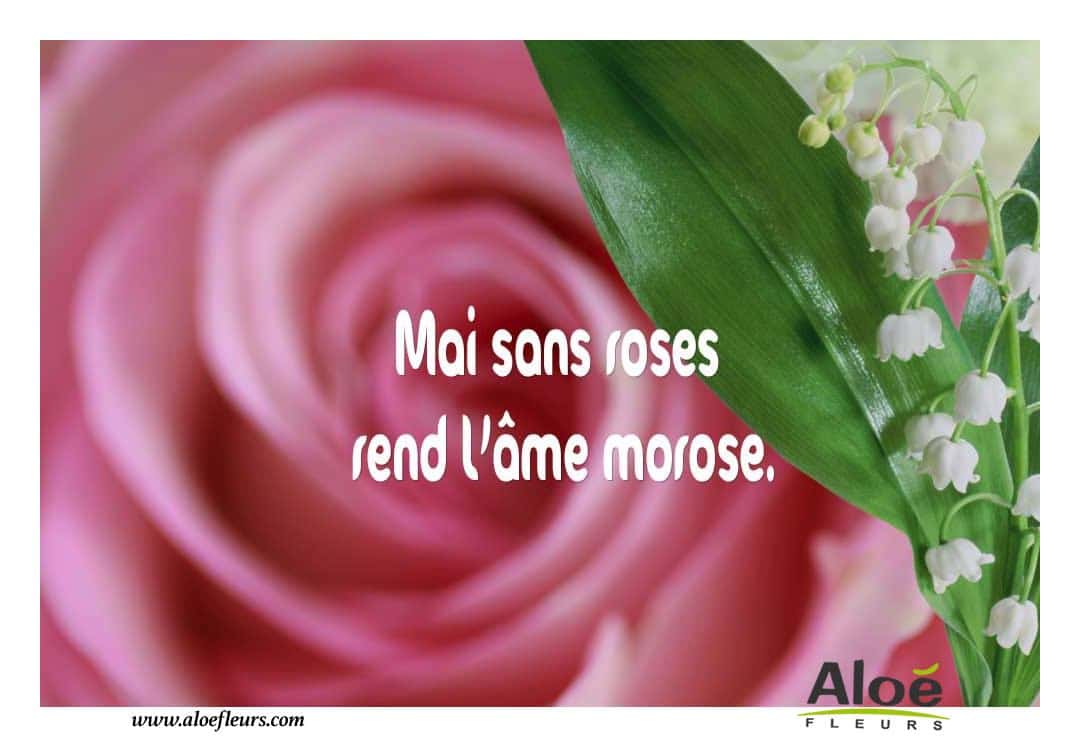 1er Mai  Mai   Mai Sans Roses Rend L’âme Morose.  