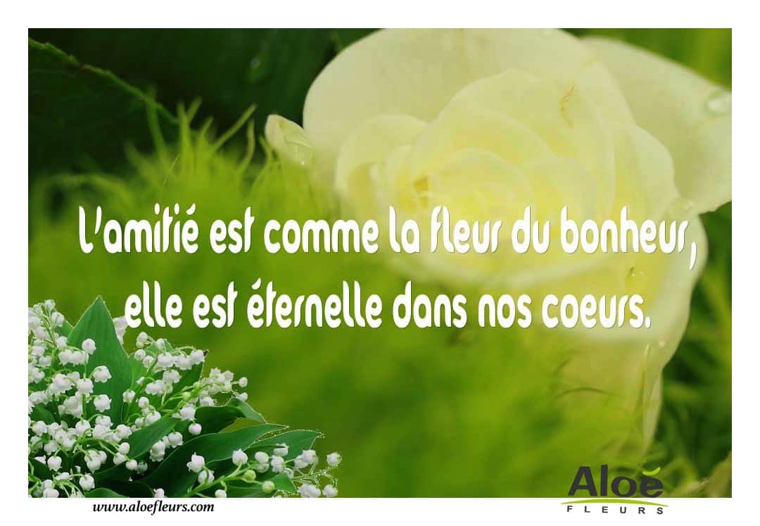 1er Mai  Message    L'amitié Est Comme La Fleur Du Bonheur,elle Est Éternelle Dans Nos Coeurs.  