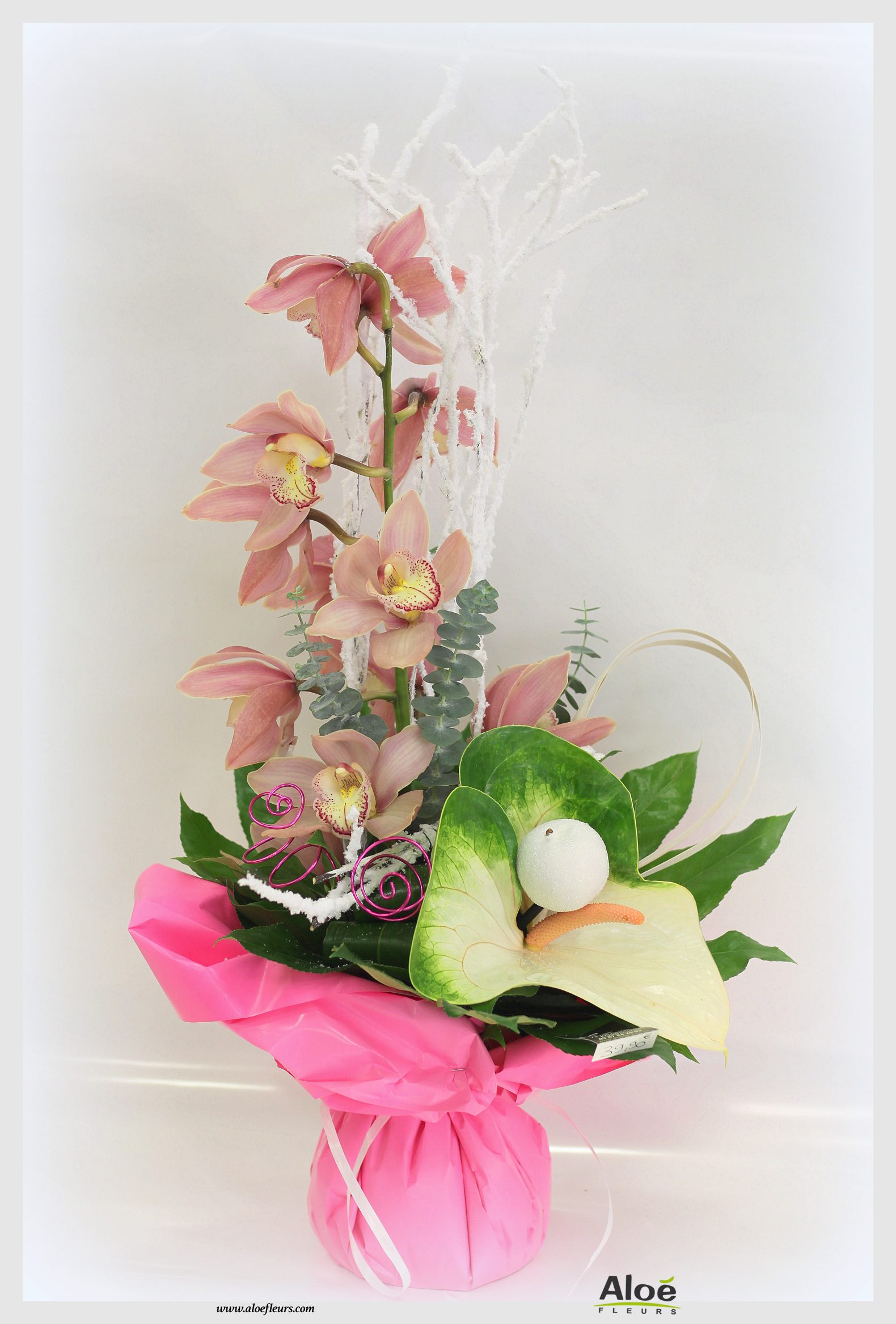 Bouquet De Fleurs Noel Aloé Dec201510