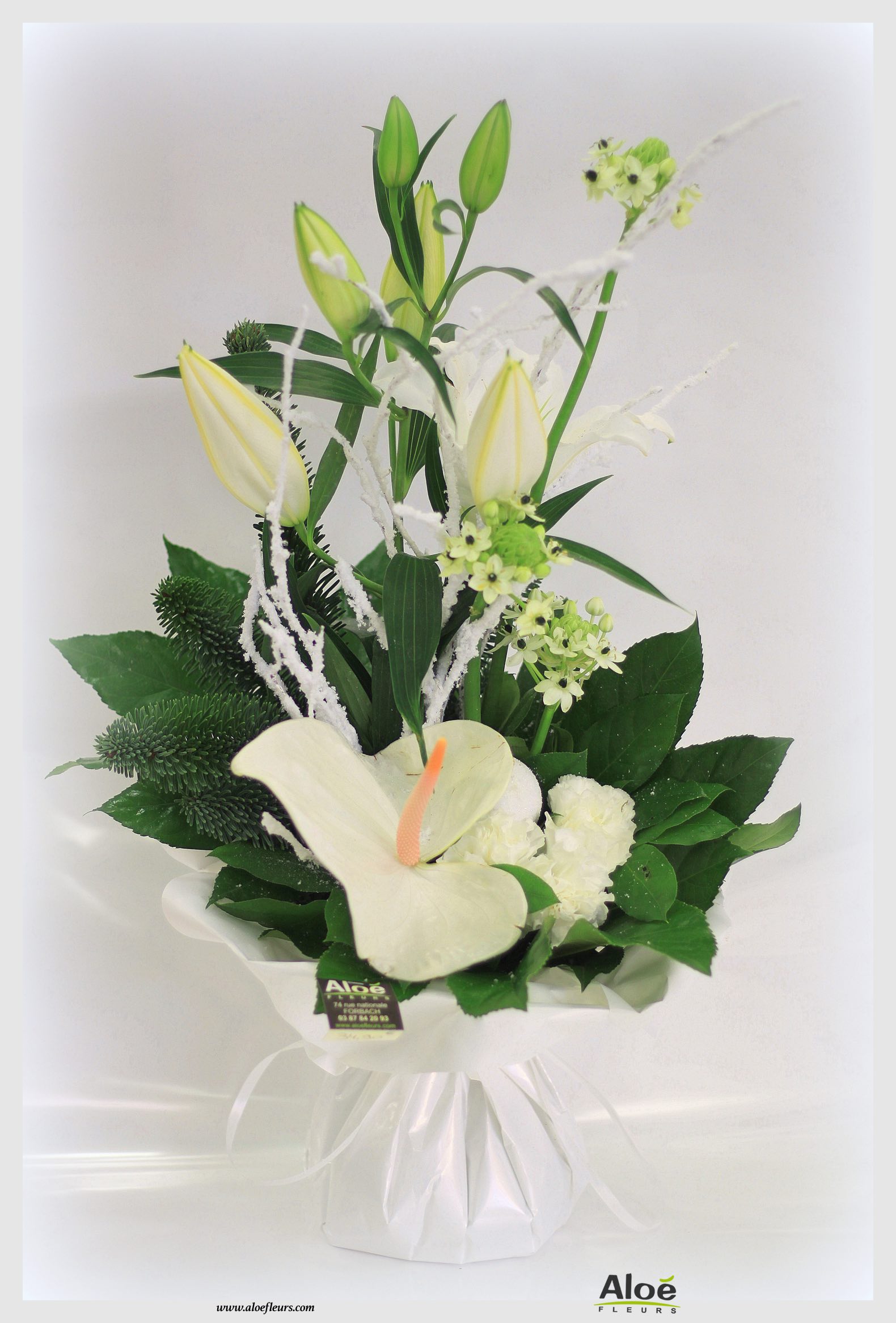 Bouquet De Fleurs Noel Aloé Dec20152