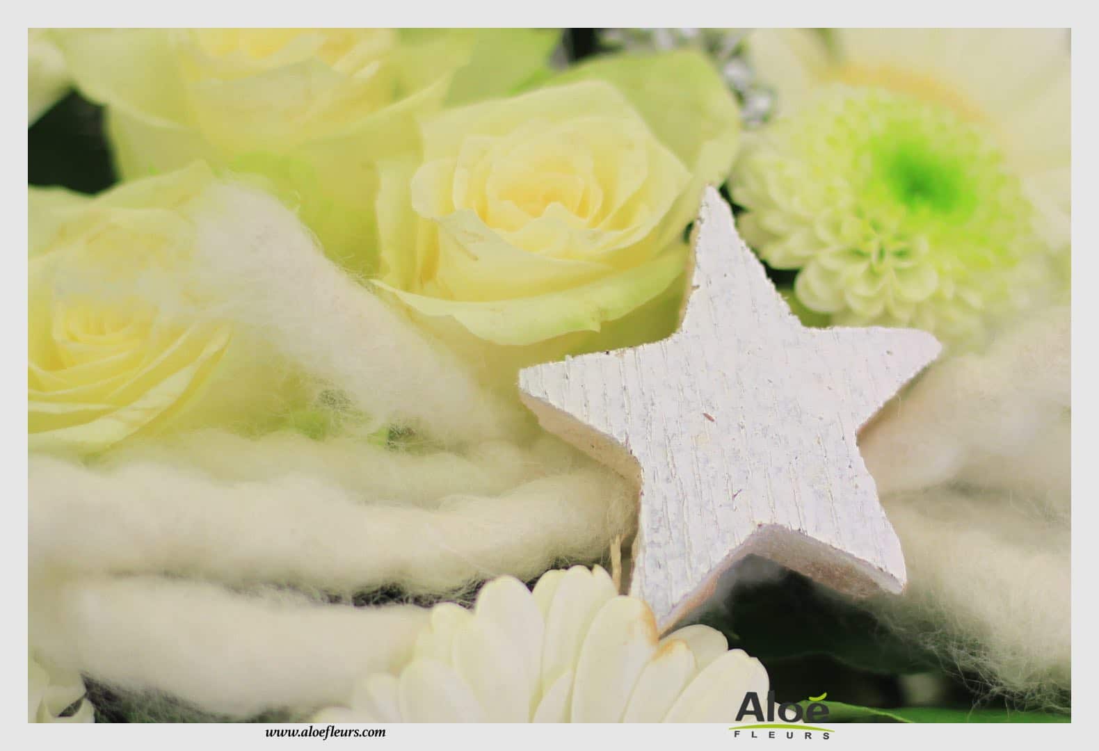 Bouquet De Fleurs Noel Aloé Dec201520