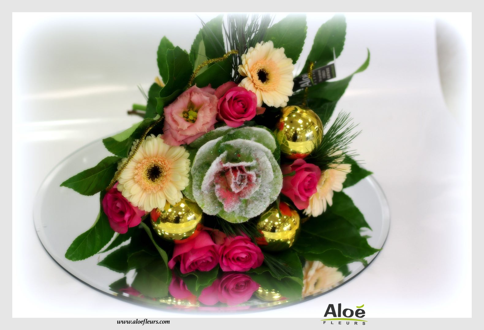 Bouquet De Fleurs Noel Aloé Dec201523