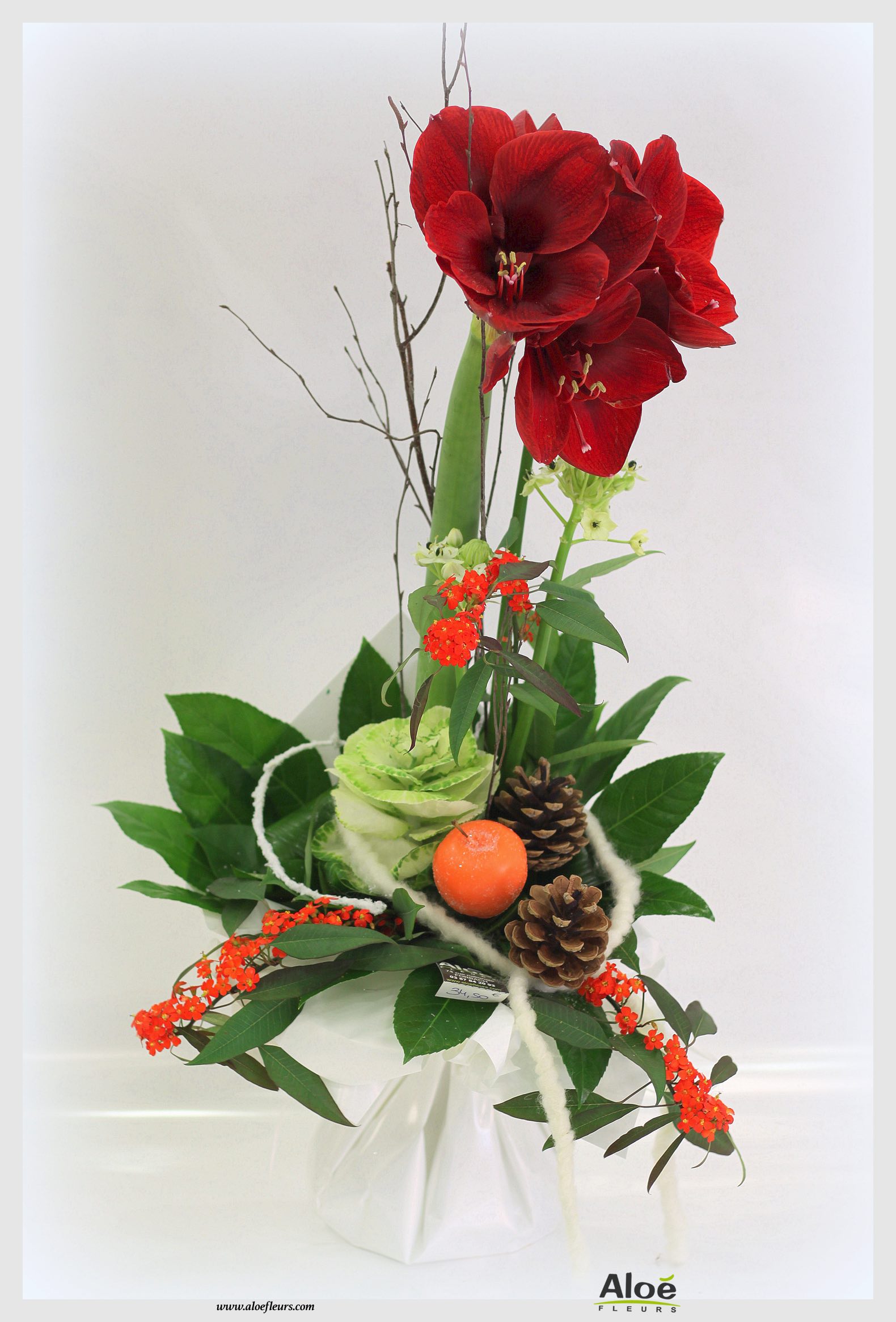 Bouquet De Fleurs Noel Aloé Dec20158