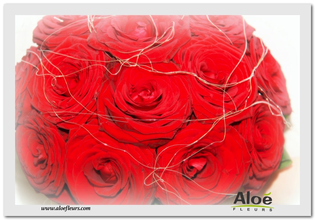 Bouquet Mariée Rond Roses Rouges Longue Traine Bergrass 6
