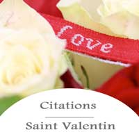 Bouton Saint Valentin Citations