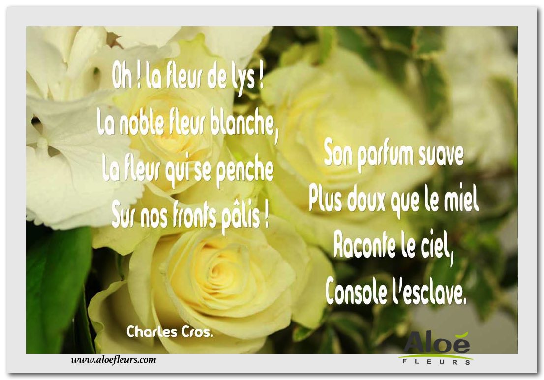 Oh ! La Fleur De Lys !  34