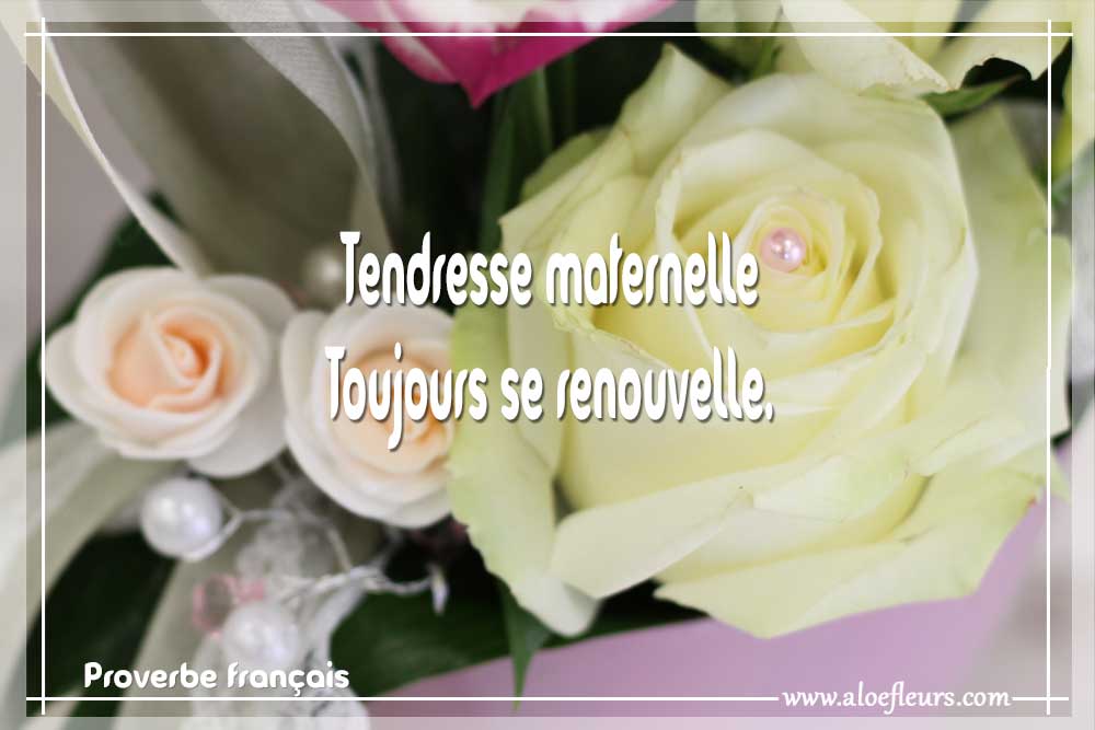 Proverbe Français