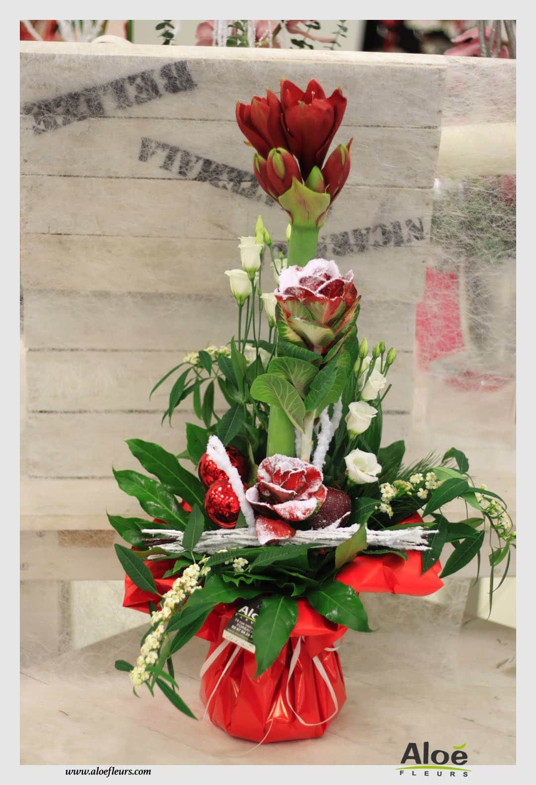 Bouquets & Compositions Noel Aloé Fleurs22